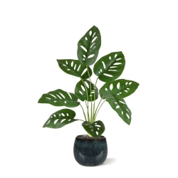 Monstera Adonsonii pianta artificiale 40 cm in vaso