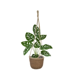 Monstera Adonsonii pianta artificiale 40 cm in vaso