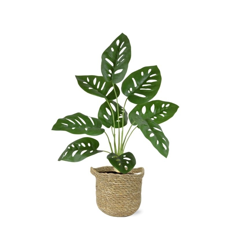 Monstera Adonsonii pianta artificiale 40 cm in vaso