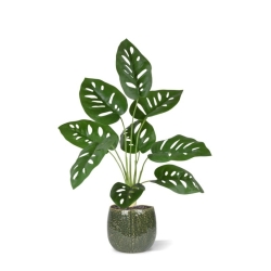 Monstera Adonsonii pianta artificiale 40 cm in vaso