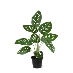 Monstera Adonsonii pianta artificiale 40 cm in vaso