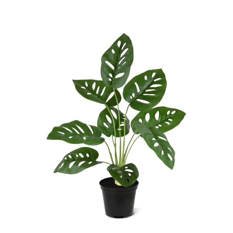 Monstera Adonsonii pianta artificiale 40 cm in vaso