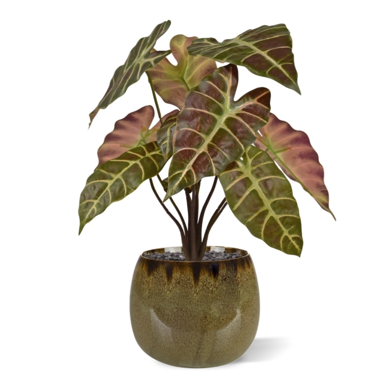Pianta artificiale Alocasia 40cm Borgogna