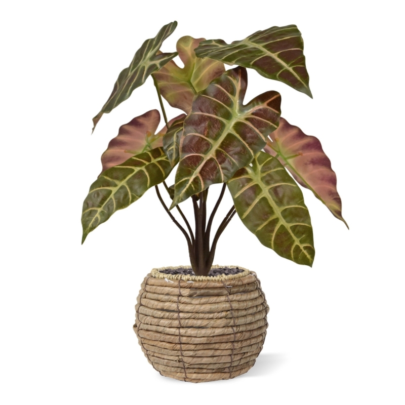 Pianta artificiale Alocasia 40cm Borgogna