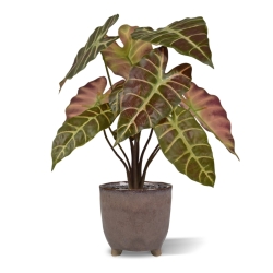 Pianta artificiale Alocasia 40cm Borgogna