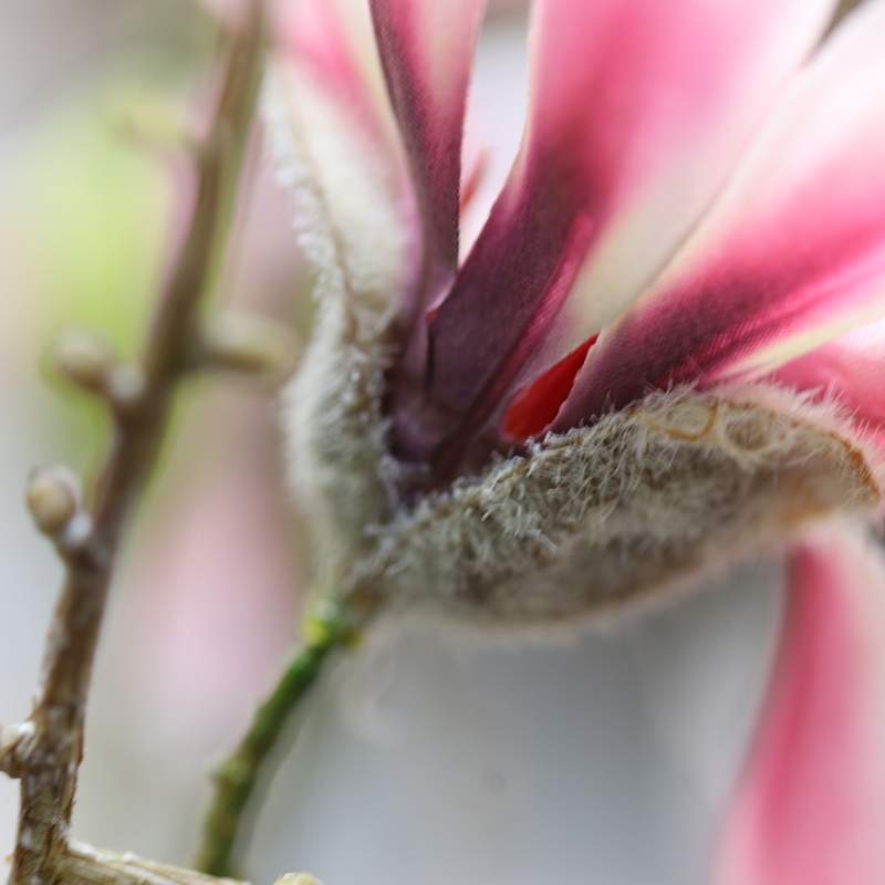 Magnolia ramo artificiale Rosa 100 cm