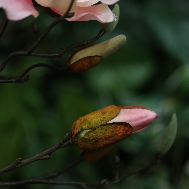 Ramo di Magnolia Artificiale 84cm Rosa