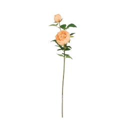 Rosa Inglese Artificiale 69cm Pesca