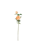 Rosa Inglese Artificiale 69cm Pesca