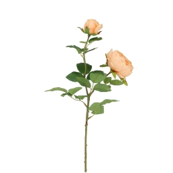 Rosa Inglese Artificiale 69cm Pesca