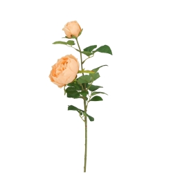 Rosa Inglese Artificiale 69cm Pesca