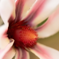 Mazzo Artificiale Fatto a Mano Chloe Atene - Rosa