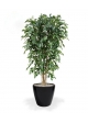 Pianta artificiale Ficus Exotica deluxe 180 cm - verde - FR - ignifuga