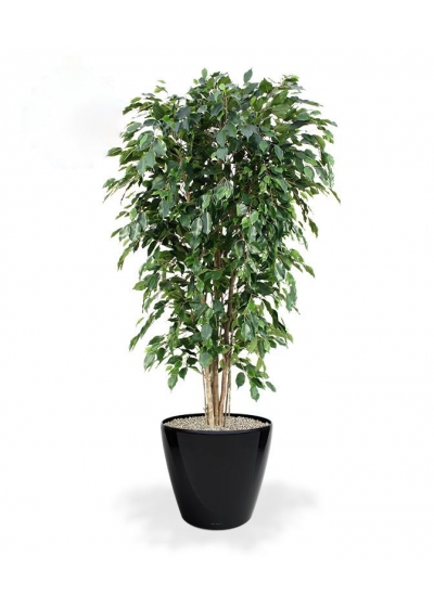 Pianta artificiale Ficus Exotica deluxe 180 cm - verde - FR - ignifuga