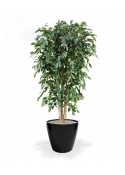 Pianta artificiale Ficus Exotica deluxe 180 cm - verde - FR - ignifuga