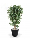Pianta artificiale Ficus Exotica deluxe 180 cm - verde - FR - ignifuga