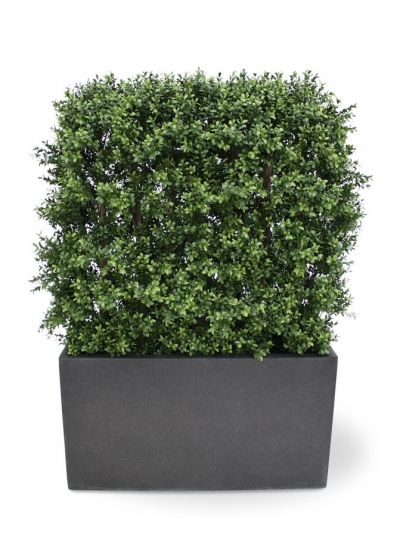 Siepe artificiale di bosso deluxe 80x100 cm