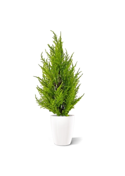 Pianta artificiale di conifera 45 cm - giallo/verde