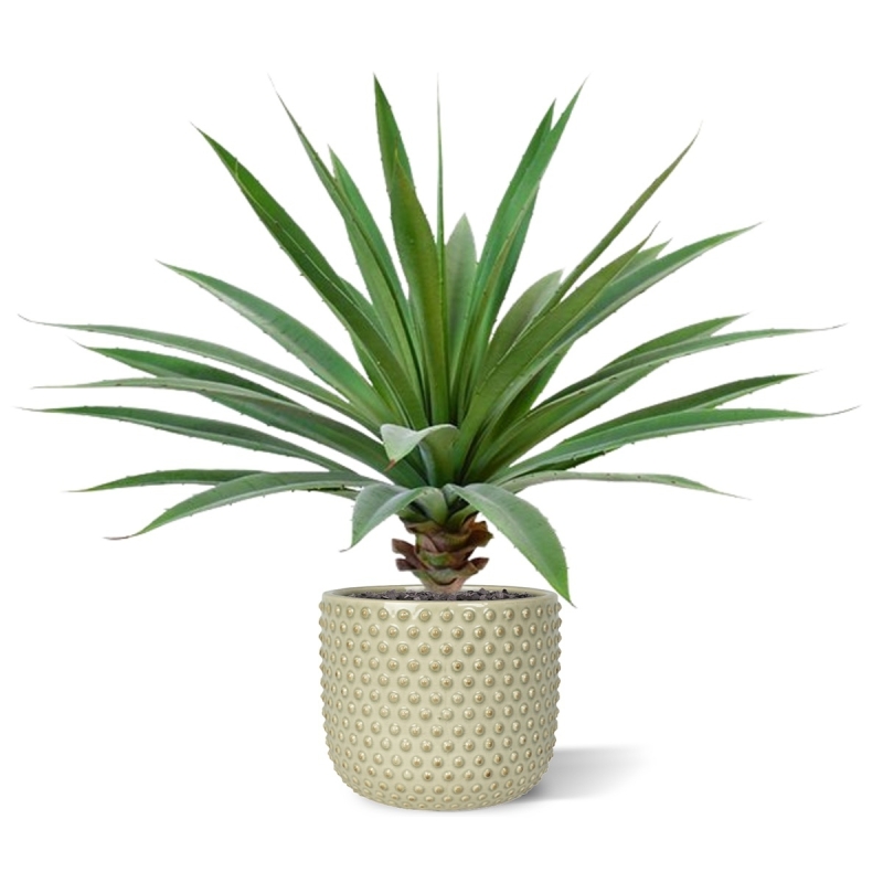 Bouquet artificiale di yucca 55 cm