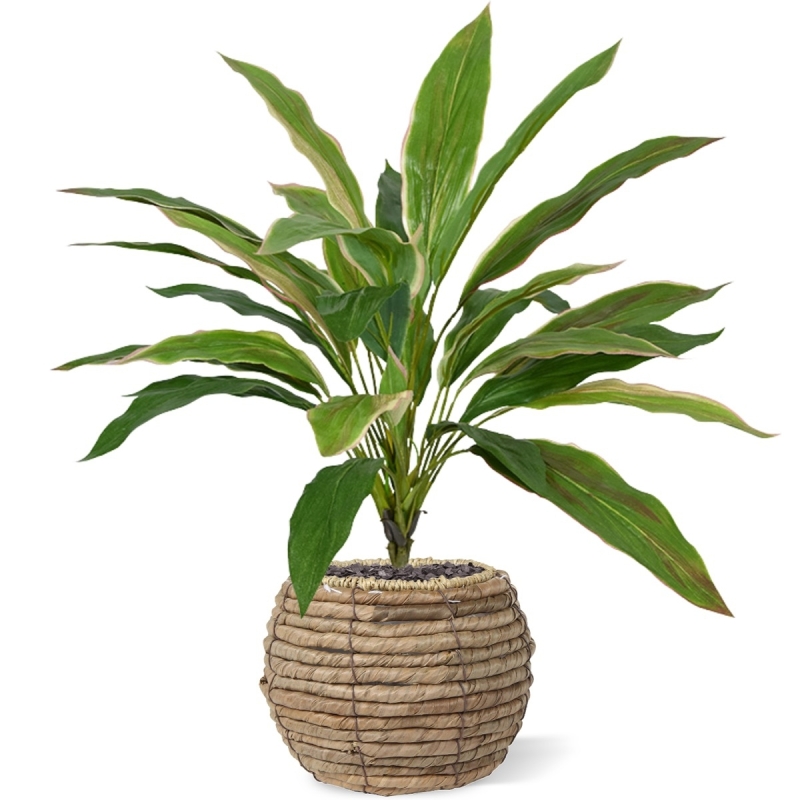 Bouquet artificiale Draceana 40 cm NT