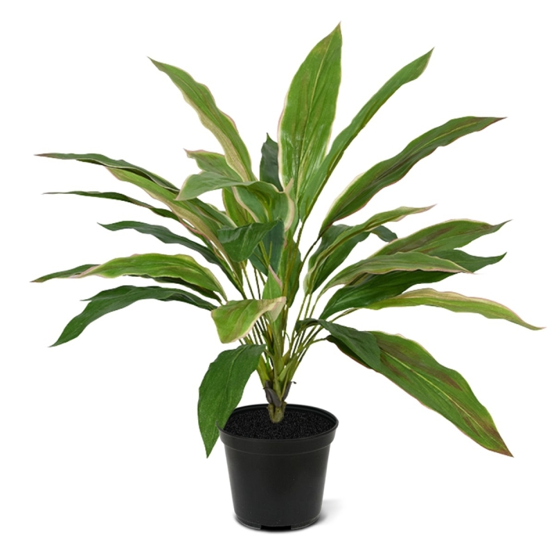 Bouquet artificiale Draceana 40 cm NT