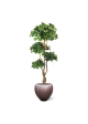Albero artificiale Ginko Bonsai deluxe 170 cm