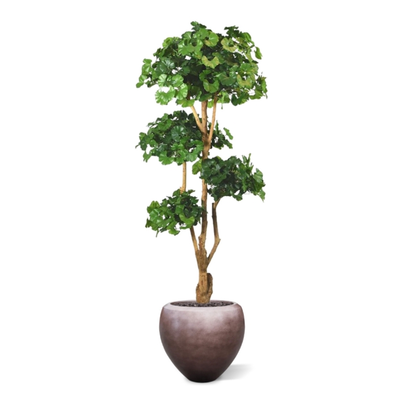 Albero artificiale Ginko Bonsai deluxe 170 cm
