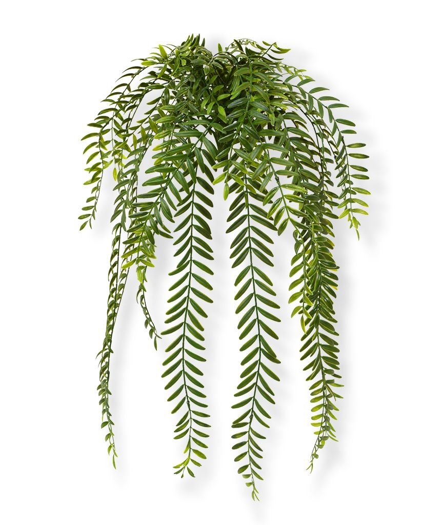 Columnea artificiale a strascico 65 cm
