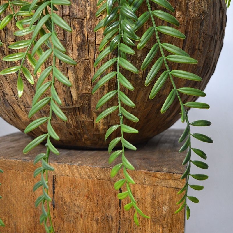 Columnea artificiale a strascico 65 cm