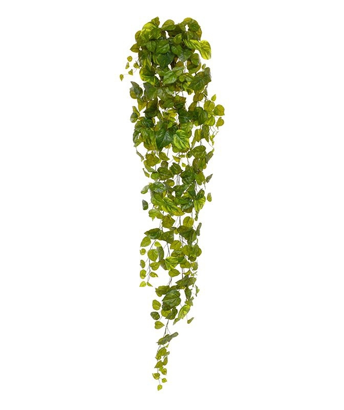 Pothos artificiale sospeso 170 cm varigato