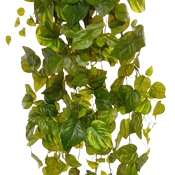 Pothos artificiale sospeso 170 cm varigato