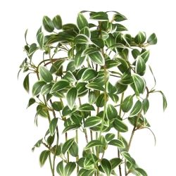 Tradescantia pianta artificiale ricadente - 90cm - variegata