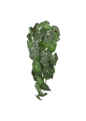 Anthurium Clarinervium Pianta ricadente artificiale 80 cm