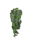 Anthurium Clarinervium Pianta ricadente artificiale 80 cm