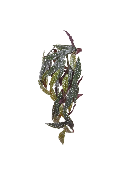 Begonia Maculata Pianta ricadente artificiale 80 cm