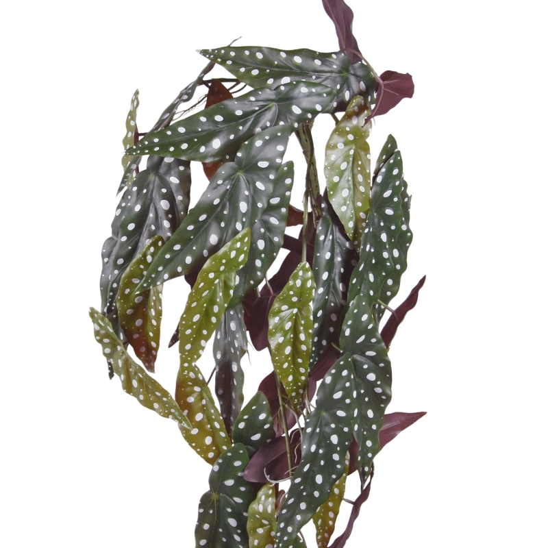 Begonia Maculata Pianta ricadente artificiale 80 cm