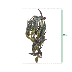 Begonia Maculata Pianta ricadente artificiale 80 cm