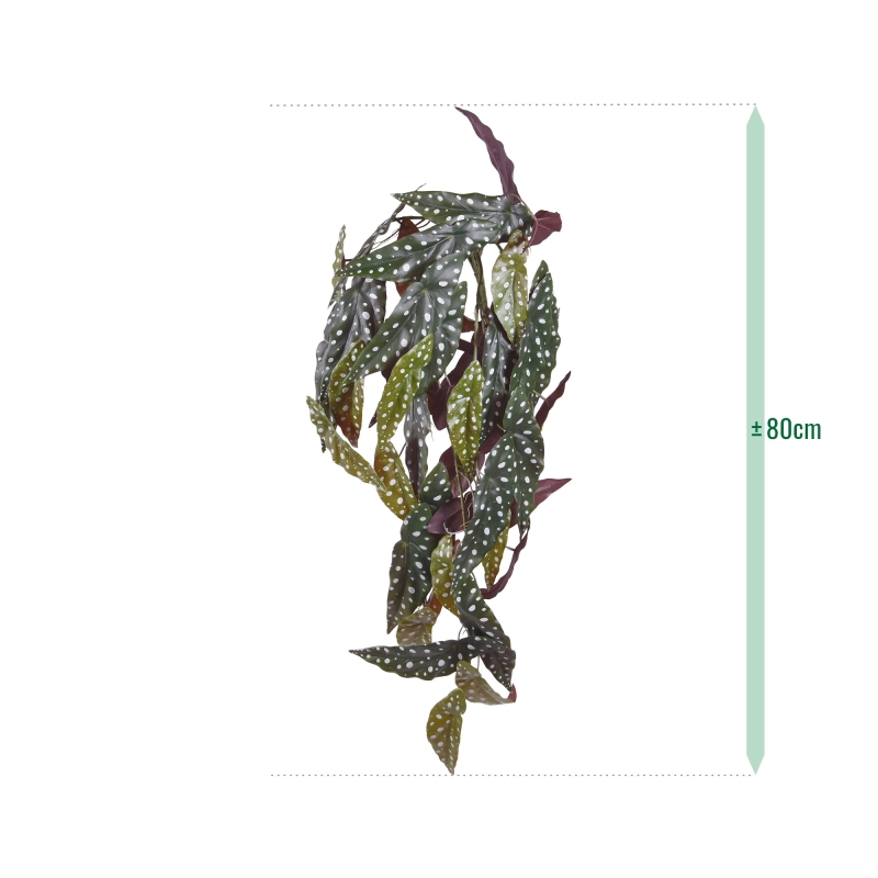 Begonia Maculata Pianta ricadente artificiale 80 cm