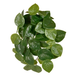 Pilea Peperomioides pianta artificiale ricadente 30 cm