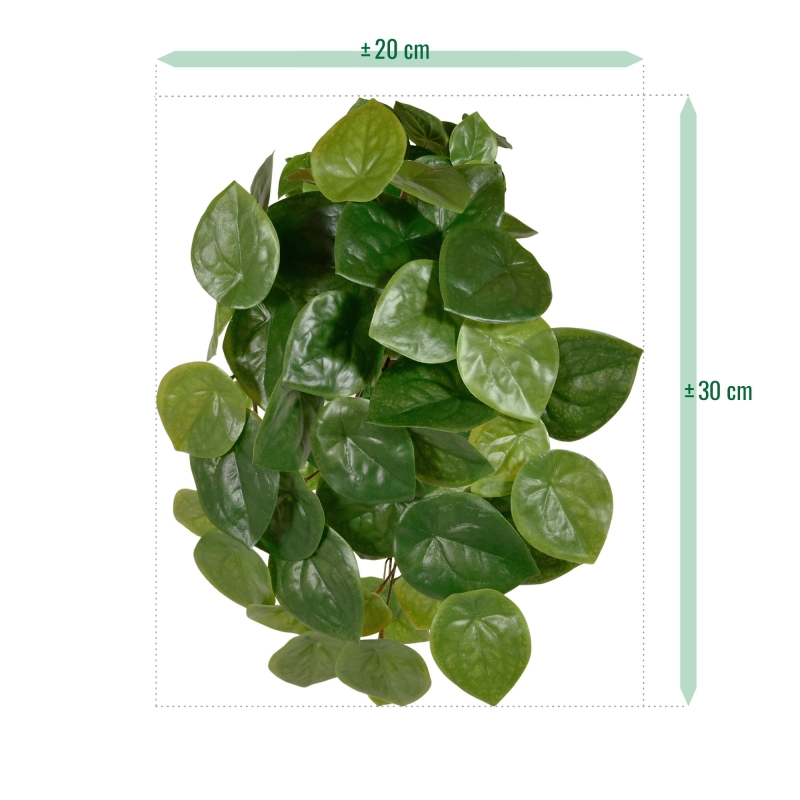 Pilea Peperomioides pianta artificiale ricadente 30 cm