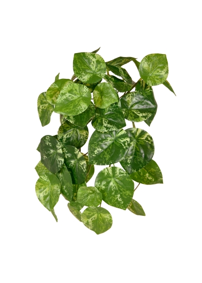 Pilea Peperomioides pianta artificiale ricadente varigata 30cm