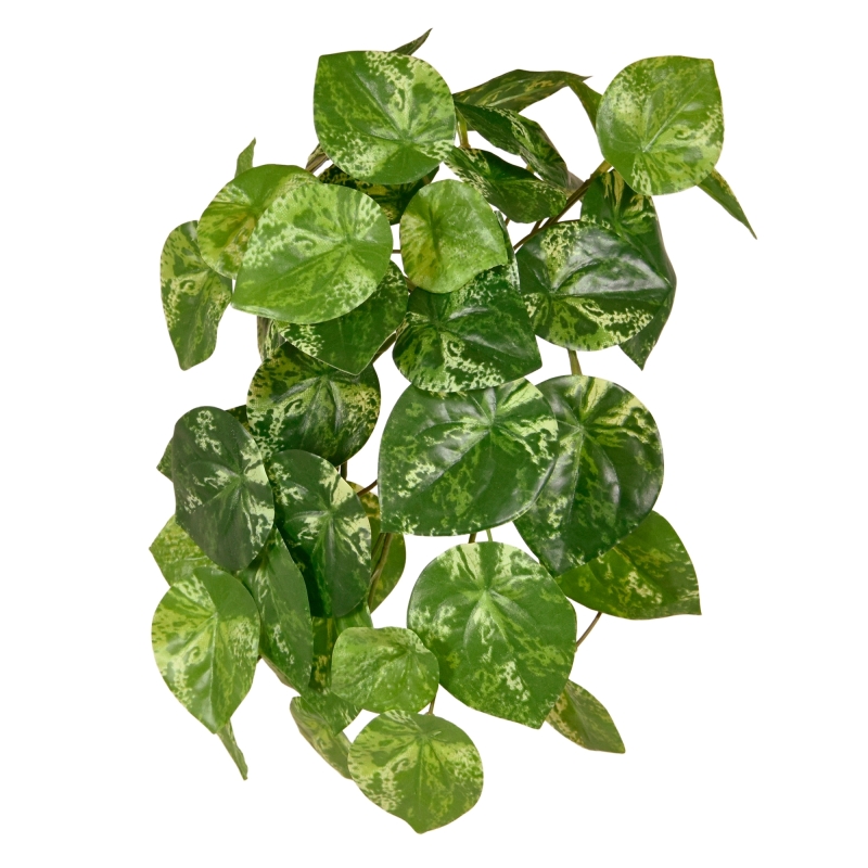 Pilea Peperomioides pianta artificiale ricadente varigata 30cm
