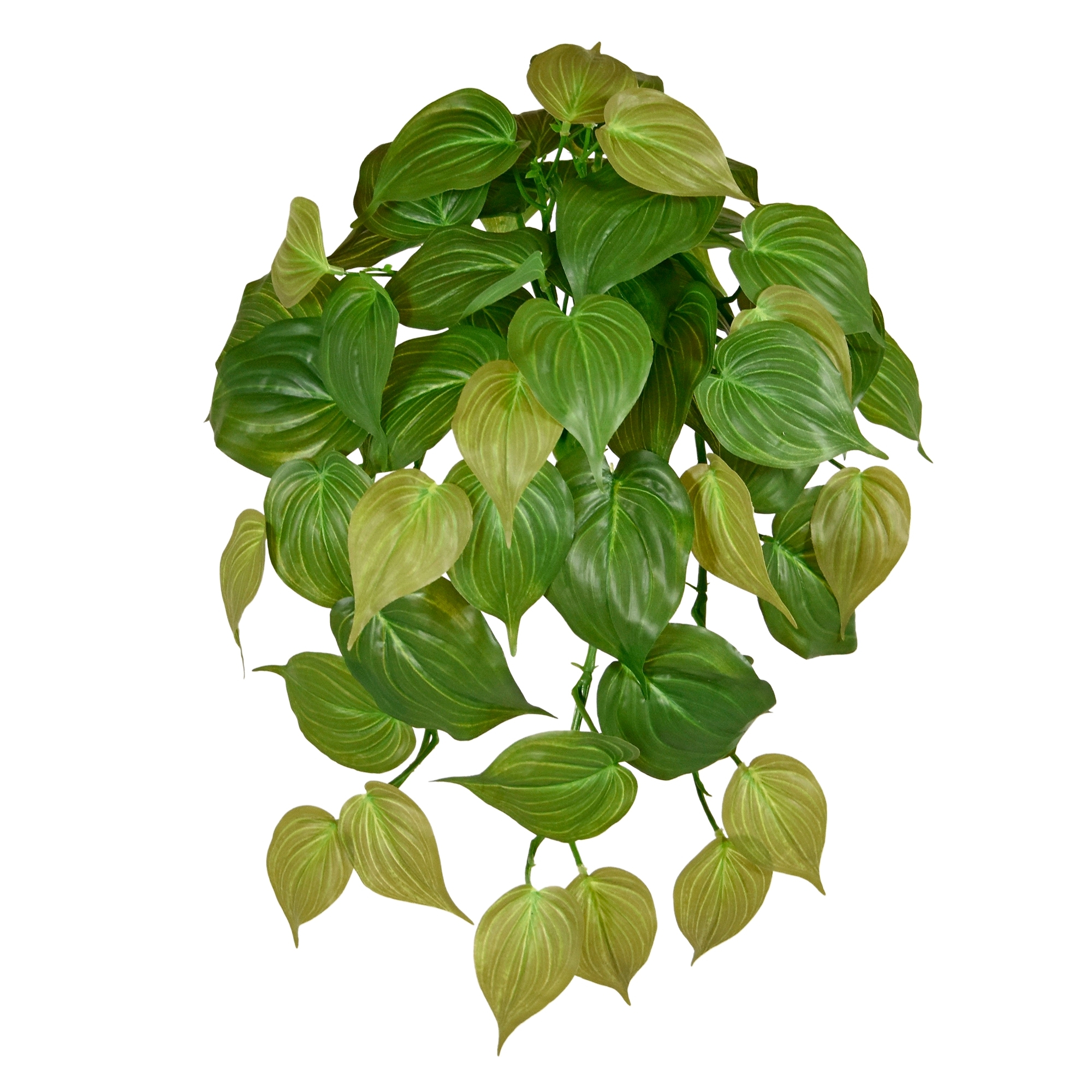 Philodendron Micans RT pianta artificiale ricadente 45cm