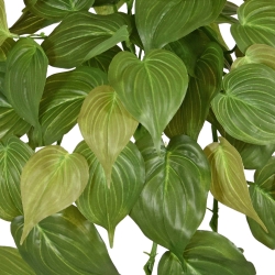 Philodendron Micans RT pianta artificiale ricadente 45cm