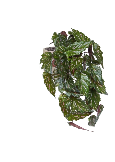Begonia Rex pianta artificiale verde rossa 40 cm