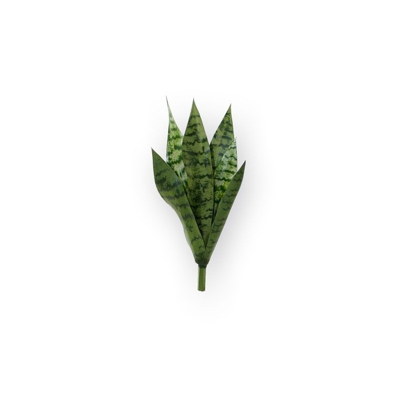 Bouquet di Sanseveria 40cm verde