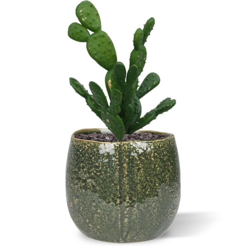 Mini bouquet di cactus 20 cm