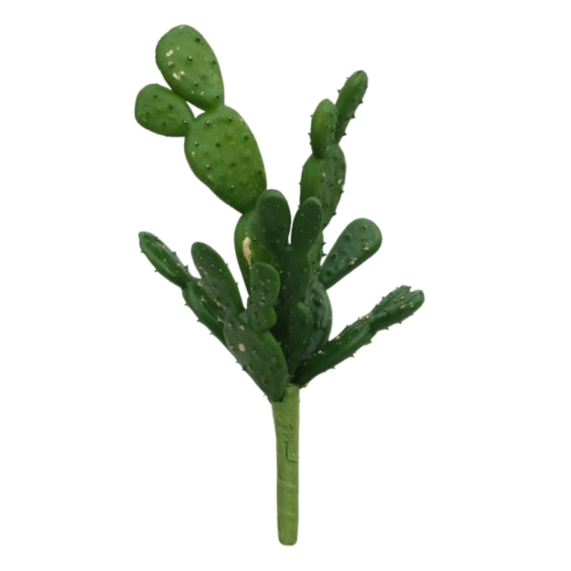 Mini bouquet di cactus 20 cm