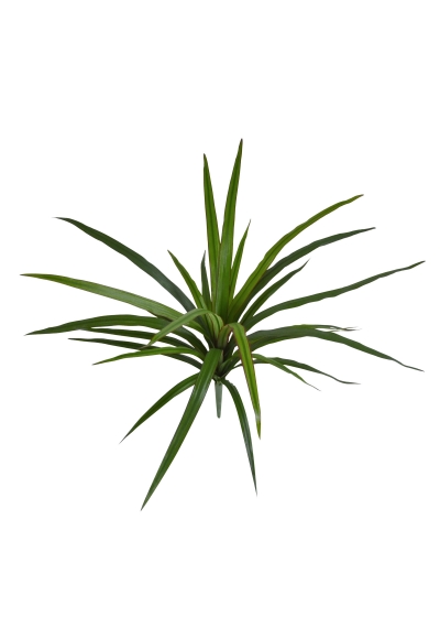 Draceana Marginata Pianta artificiale 40 cm