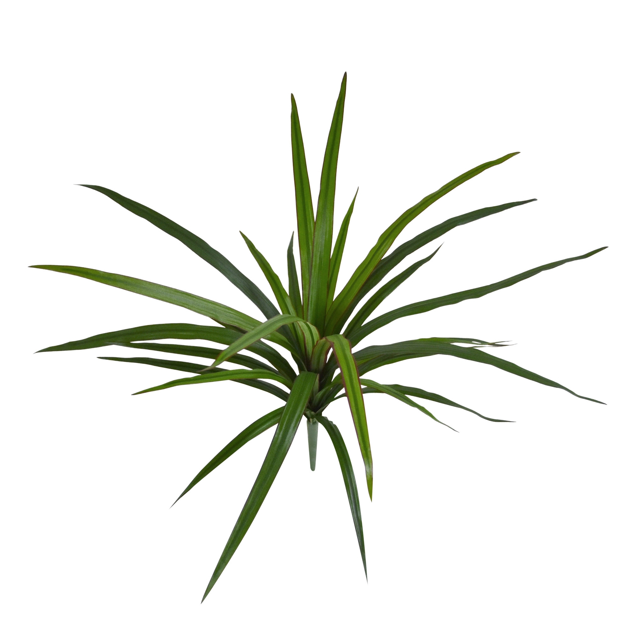 Draceana Marginata Pianta artificiale 40 cm